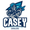 霍巴特電光女籃